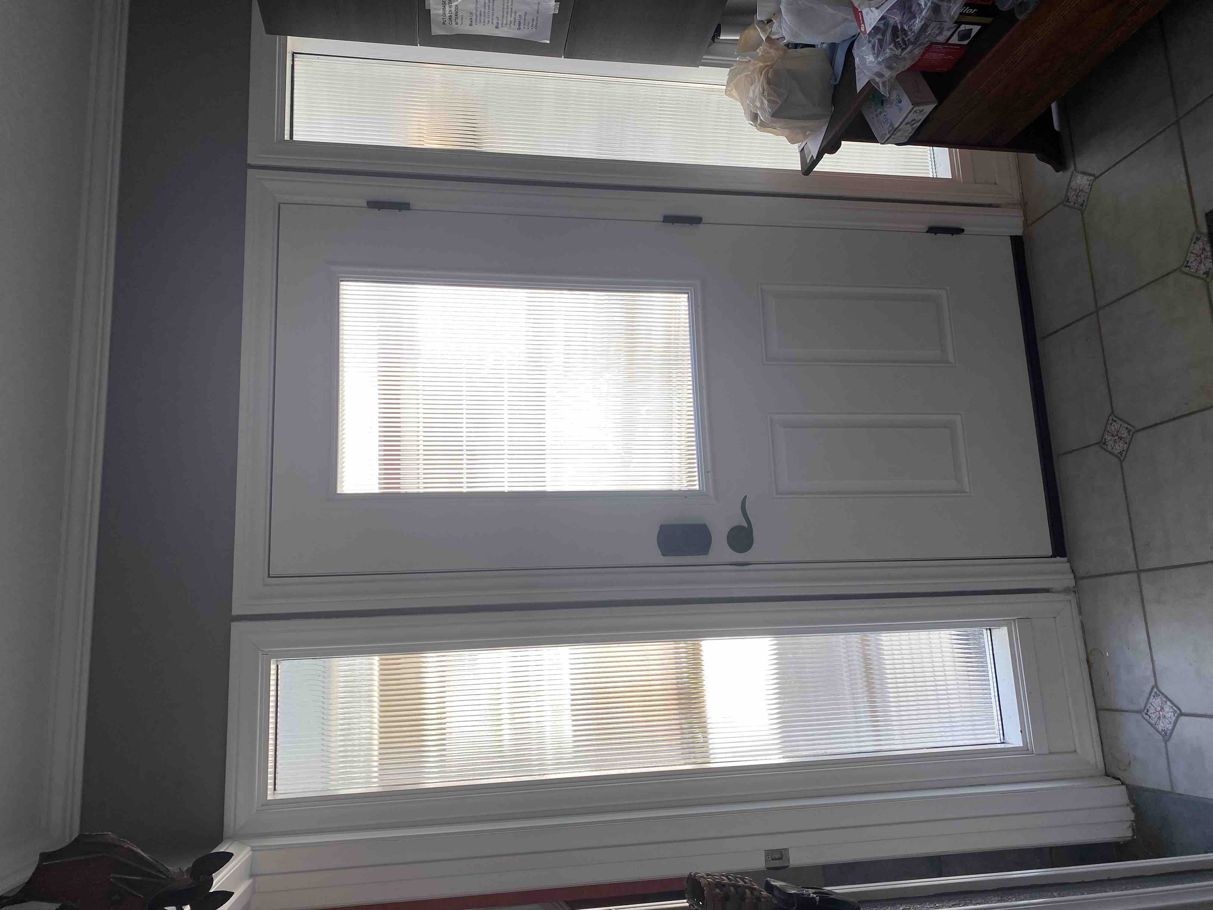 Smooth Fiberglass Door with Reed Sidelites